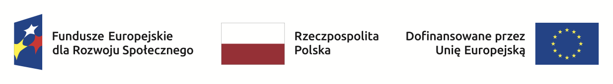 Fundusze Europejskie, Rzeczpospolita Polska, Dofinansowane przez Unię Europejską